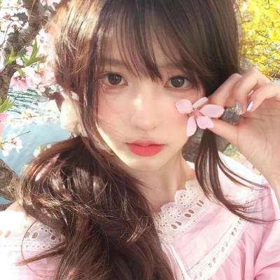 总统的危机